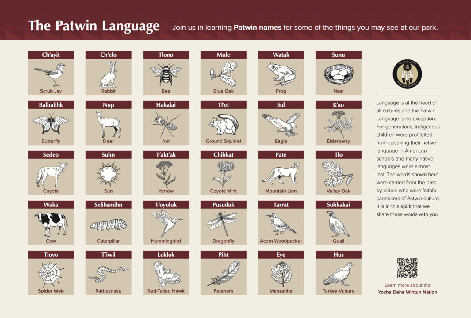Educational Worksheets Archives - Yocha Dehe