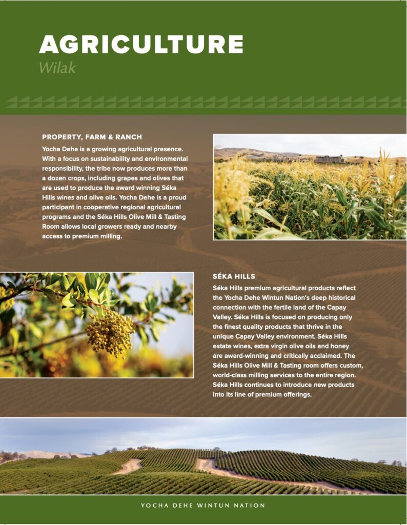 Resources Archive - Page 3 of 4 - Yocha Dehe
